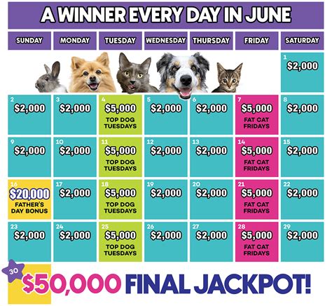 bc spca lottery|BC SPCA Lottery for animals in need is .